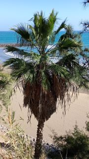 GC-Playas del Veril 2026-58.jpg